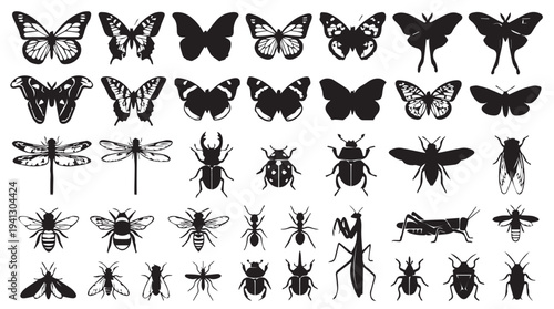Insect Silhouettes Collection Dark Moody Black White Vector Illustration for Graphic Design