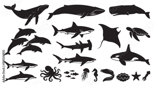Marine Life Silhouettes in Simple Modern Black Illustration on White Background for Ocean Conservation