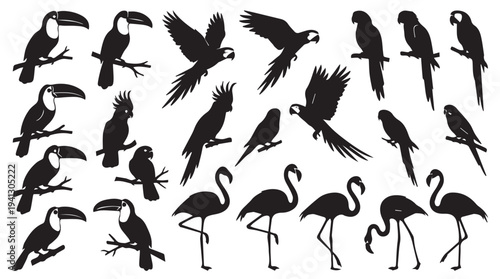 Tropical Birds Silhouette Collection in Various Poses and Flight Patterns on White Background for Wildlife Illustration