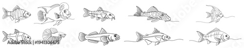 Set of continuous one line drawings of various aquarium and tropical fish species
