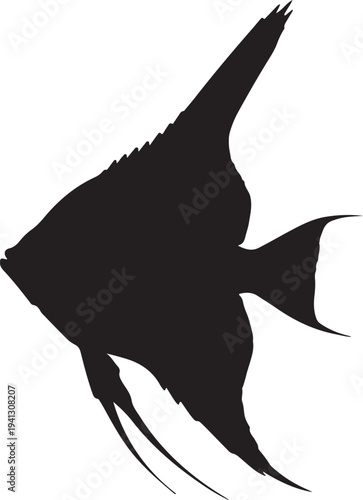 Silhouette of a black angelfish swimming on white background