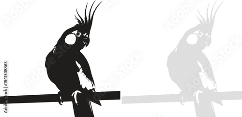 Silhouette of a cockatoo perched on a branch looking to the right