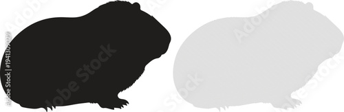 Silhouette of a guinea pig on a white background