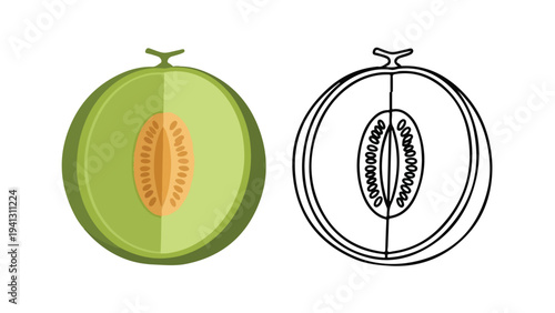 Flat lay illustration of a green kiwi fruit cut in half and its black and white line drawing on a white background.