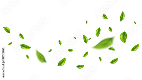 green leaf flying vector background