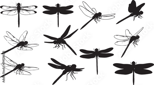 Collection of dragonflies in various poses and silhouettes black
