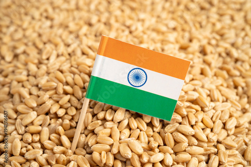 India flag on grain wheat, trade export and economy.