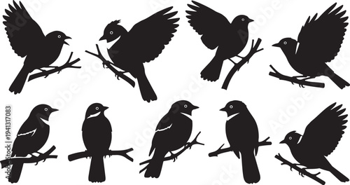 Silhouettes of birds perched on branches in various poses