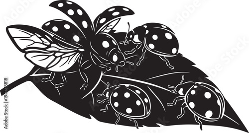 Ladybugs on a leaf in black and white illustration