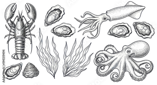Seafood Collection: Lobster, Octopus, Squid, Oysters, Seaweed Sketch