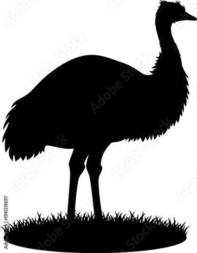 Emu Silhouette Vector Illustration on Grass Isolated on White Background