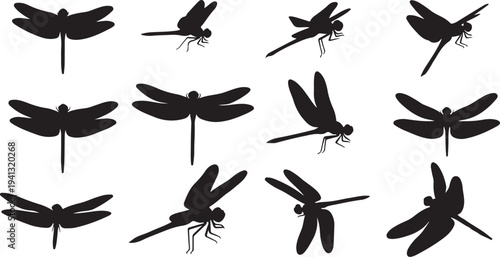 Collection of black dragonfly silhouettes on white background
