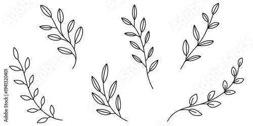 Hand drawn botanical illustration set of six different leafy branches and twigs in black ink