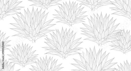 Agave Plant Pattern Drawing, Minimalist Botanical Repeat, Vector Outline Illustration