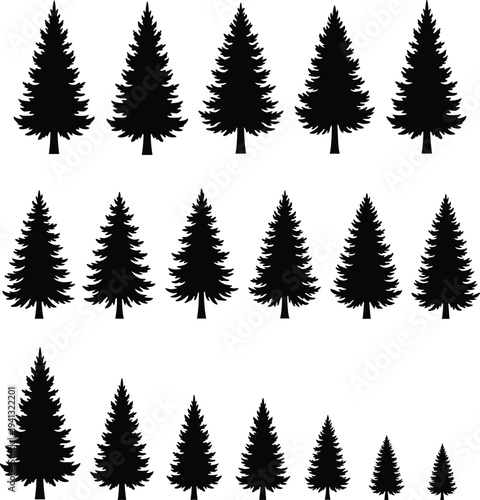Pine tree silhouette collection, evergreen fir trees vector set isolated forest nature landscape illustration bundle
