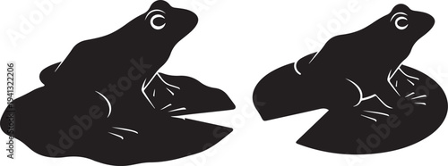 Two black frogs sitting on lily pads side by side