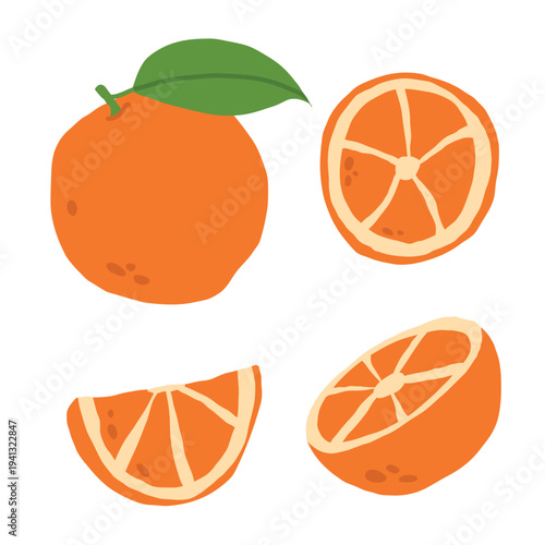 Orange whole fruits and slices isolated on white background. Fresh oranges set. Simple flat illustration
