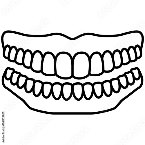 Upper and Lower Dentures. Teeth smile vector icon