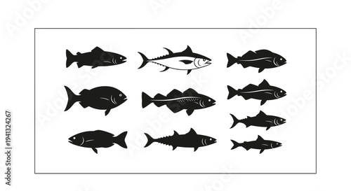 Fish Silhouettes Black White.