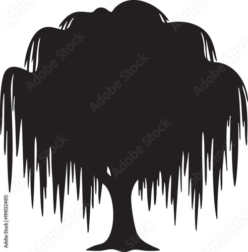 Weeping Willow Tree Graceful Drooping Branches Silhouettes