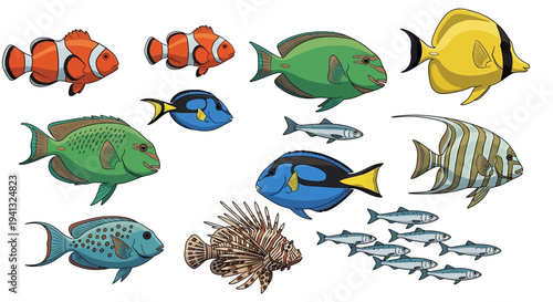 Colorful Fish School Marine Life.