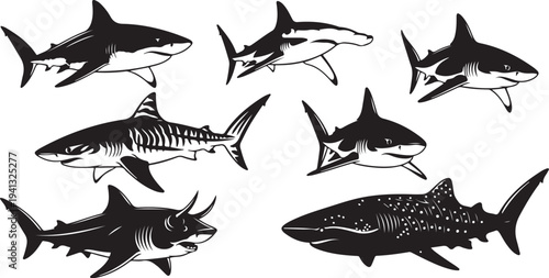Collection of various shark species in black and white