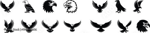 Eagle silhouettes collection, flying bald eagle bird prey wildlife predator wings spread vector illustration set isolated design elements