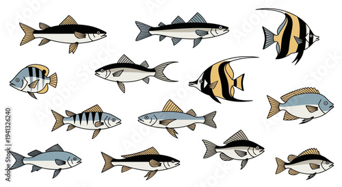 School of Various Colorful Fish.