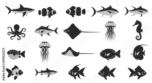 Black and white ocean fish.