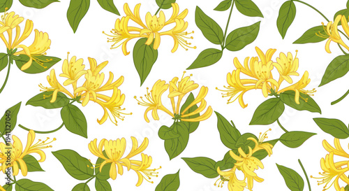 Photos Yellow Honeysuckle Flowers and Green Leaves Pattern on White Background