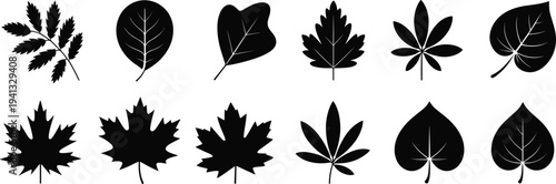 Collection of tree leaf silhouettes, black botanical foliage set, maple and natural leaves shapes, isolated plant vector icons bundle