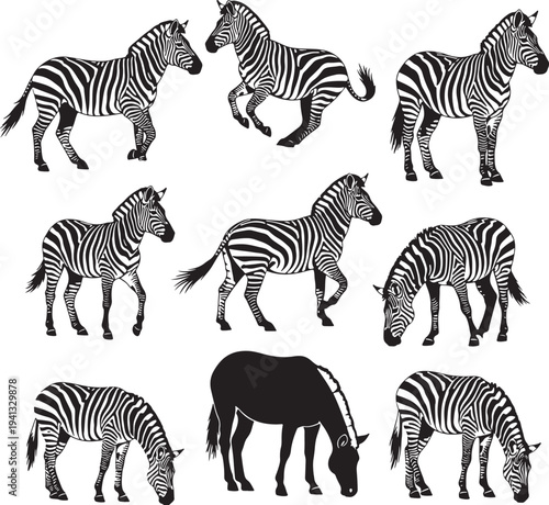 Set of 9 Hand-Drawn Black and White Zebra Silhouettes Running and Standing Vector Illustration