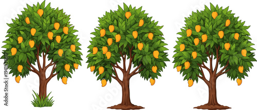 Mango tree collection with ripe fruits, tropical orchard plant illustration, isolated vector, agriculture nature design element set