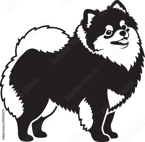 Silhouette of a shiba inu dog with orange and white colors