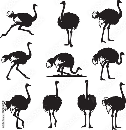 Collection of Ostrich Silhouettes in Various Poses