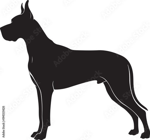 Silhouette of two great danes in golden and white