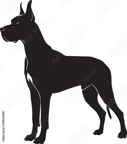 Silhouette of two great danes in orange and white