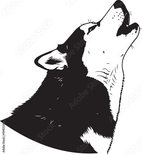 Silhouette of a woman in a dress against a white background