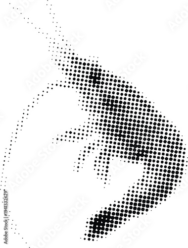 Halftone Shrimp Illustration Icon