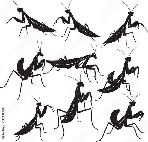 Hand-Drawn Black Ants Vector Illustration for Infographics and Educational Designs