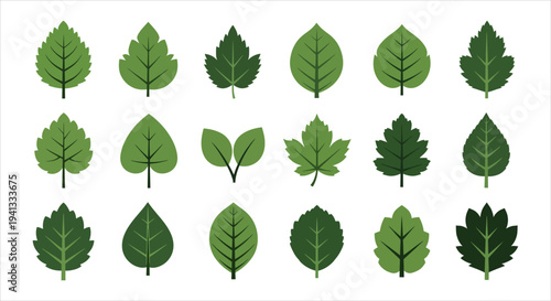 Flat Design Vector Collection of Assorted Green Leaves Representing Nature and Growth
