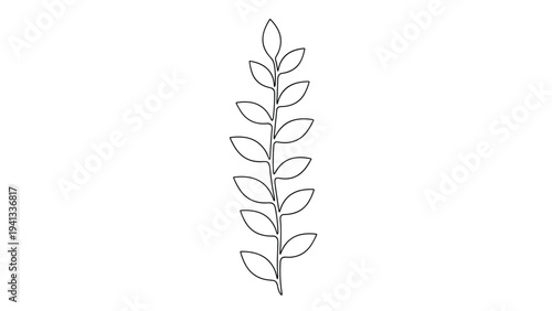 Minimalist black and white line drawing of a leafy plant stem with delicate foliage on a clean white background.