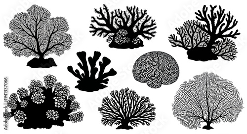 Set of Coral Silhouettes: Diverse Marine Life Illustrations