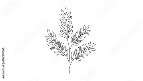 Minimalist botanical line drawing of a leafy stem is shown vertically on a plain background for simple organic and nature themed projects.