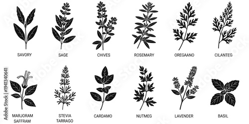 Herbs silhouette illustration, culinary plants artwork, medicinal leaves design tribute, botanical spice graphic, natural seasoning concept, aromatic garden theme flat vector illustration