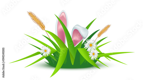 Easter background. Easter bunny ears in grass with flowers. Bunny ears with pink inner parts among green blades, white daisies, golden wheat on white. Spring festive colorful vector illustration.