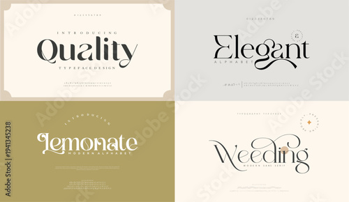 Elegant awesome alphabet letters font and number. unique serif font. Classic Lettering Minimal Fashion Designs. Typography fonts regular uppercase and lowercase.
