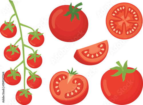 Set with cherry tomato branch, whole tomato, half, slice and quarter piece. Bright illustration with red vegetables isolated on white 