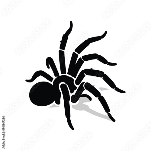 Eerie black spider illustration with a looming presence