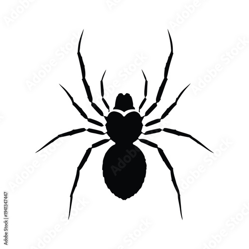 Black spider silhouette with eight legs on white background